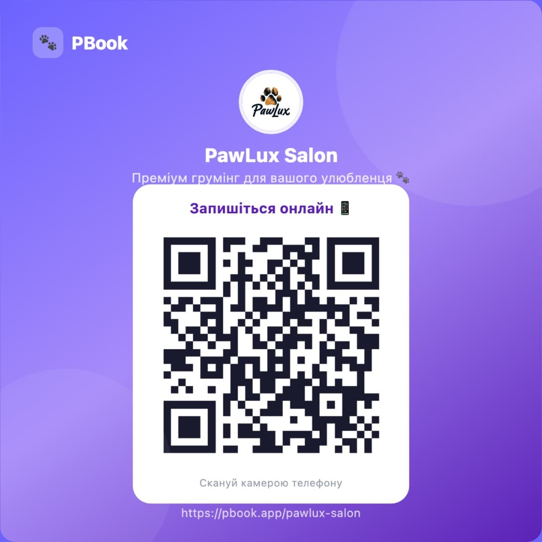 🚀 Ми ростемо разом із вами: як PBook.app розвивається разом з користувачами